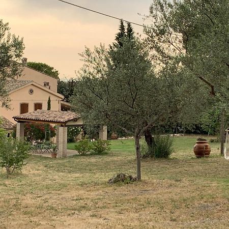Bed and Breakfast Casale La Civetta Larino Екстер'єр фото