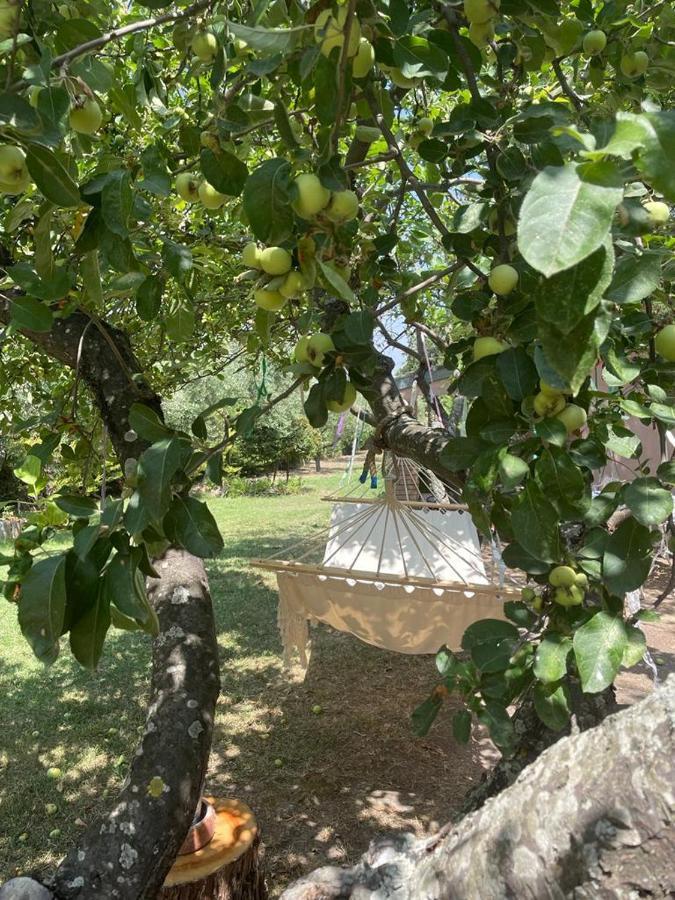 Bed and Breakfast Casale La Civetta Larino Екстер'єр фото